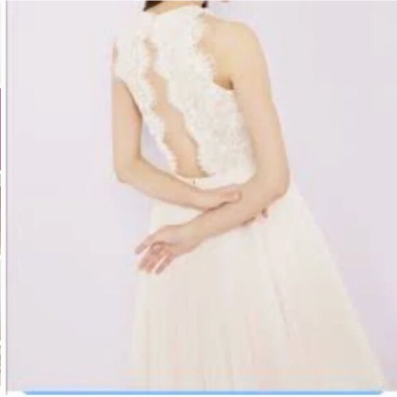 Ted Baker Pitara open back lace tulle dress light pink blush size 3 nwt - Picture 2 of 6